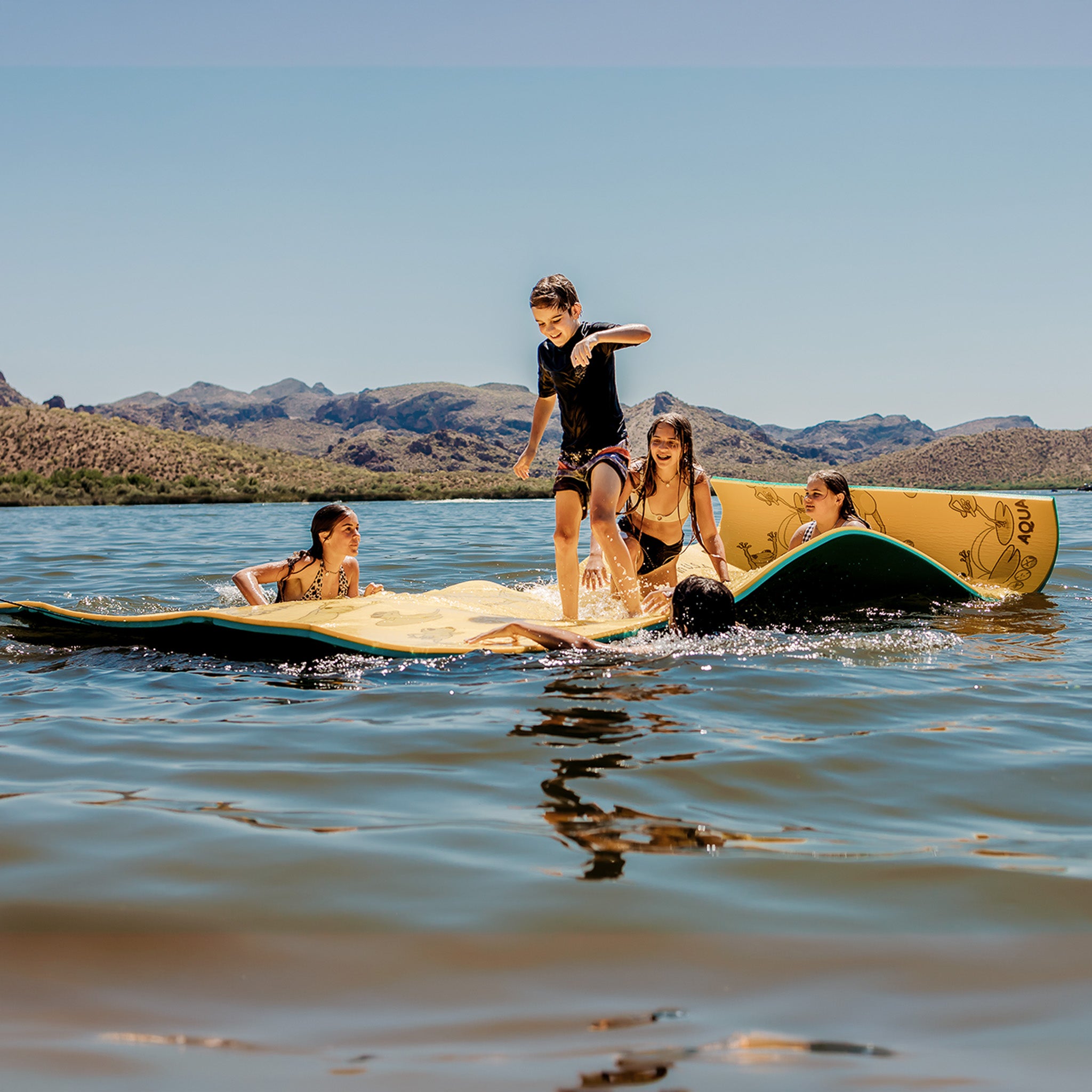 The Original Aqua Lily Pad