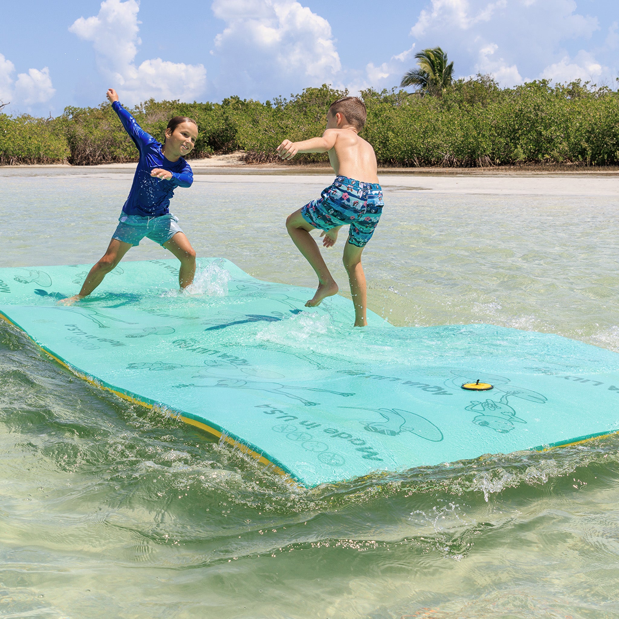 The Original Aqua Lily Pad