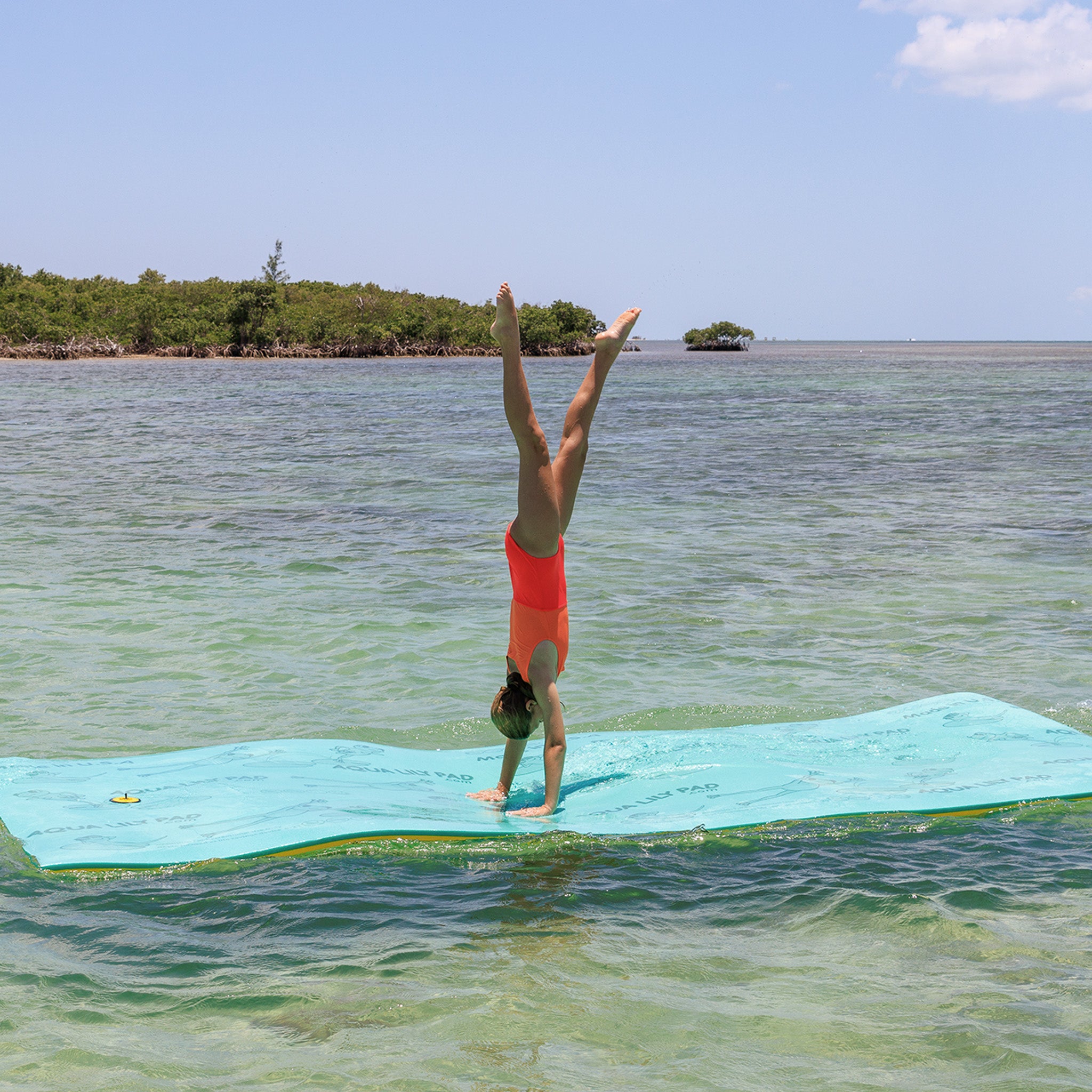 The Original Aqua Lily Pad