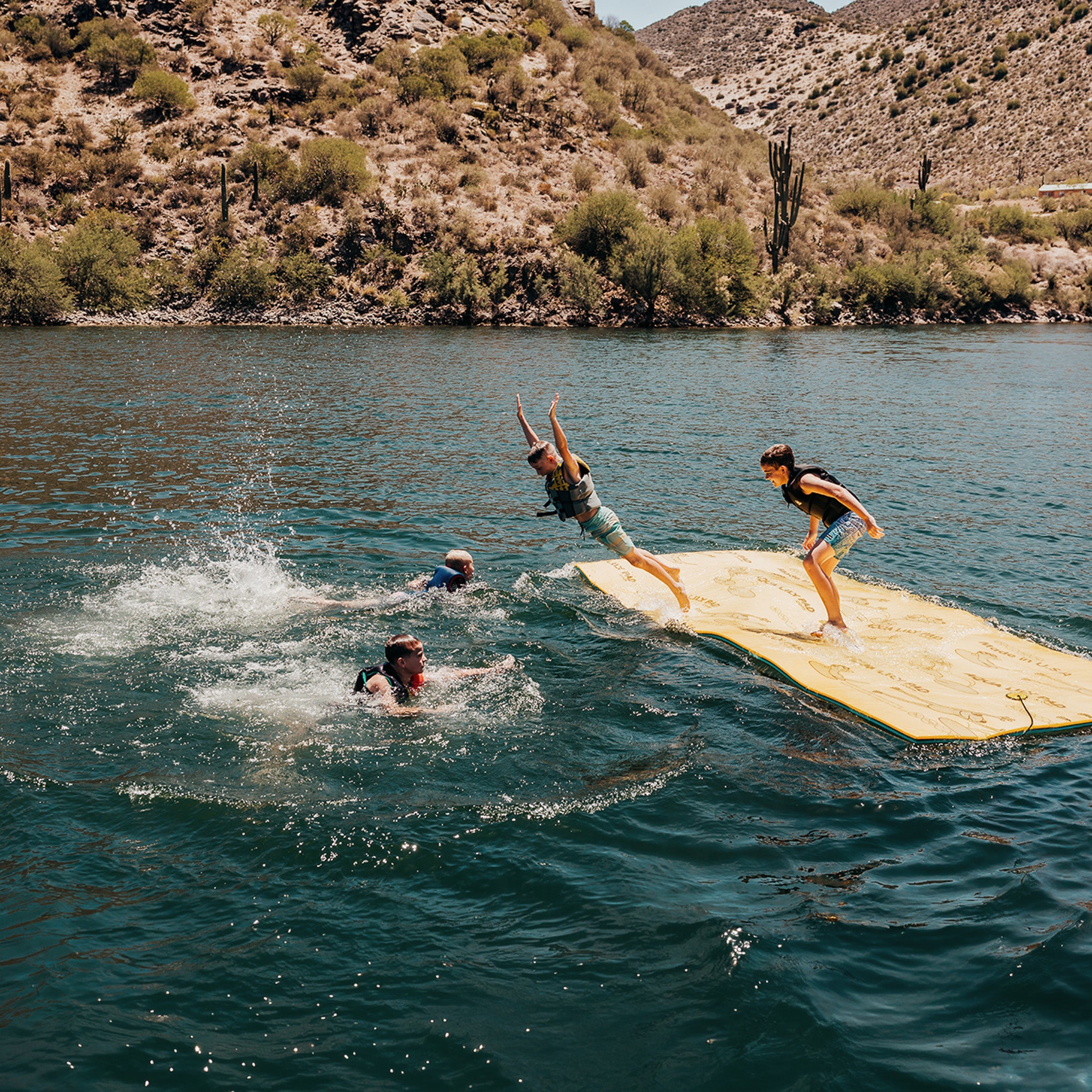 The Original Aqua Lily Pad