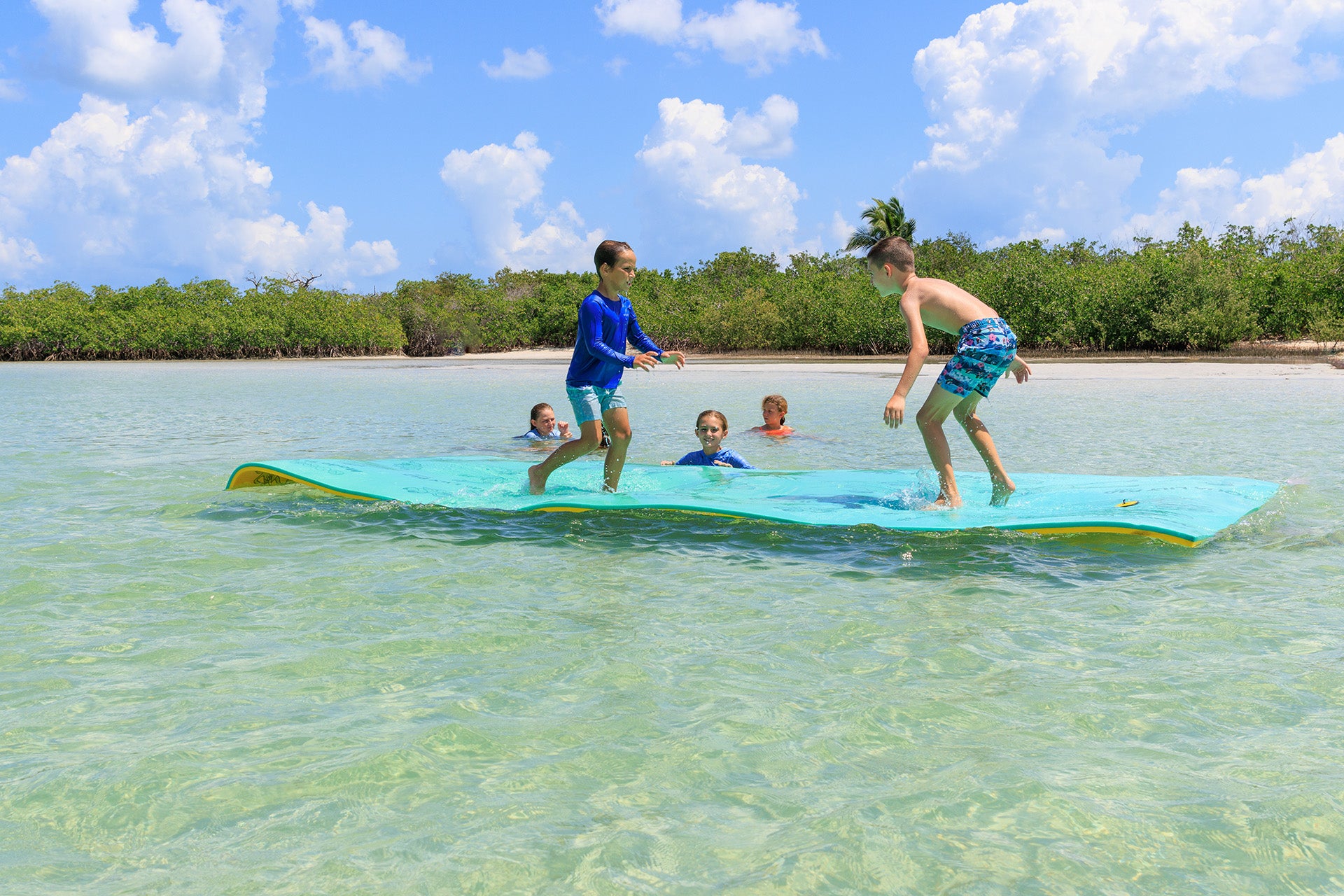 The Original Aqua Lily Pad