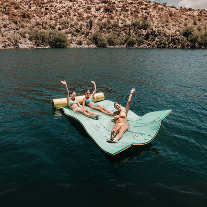 The Original Aqua Lily Pad