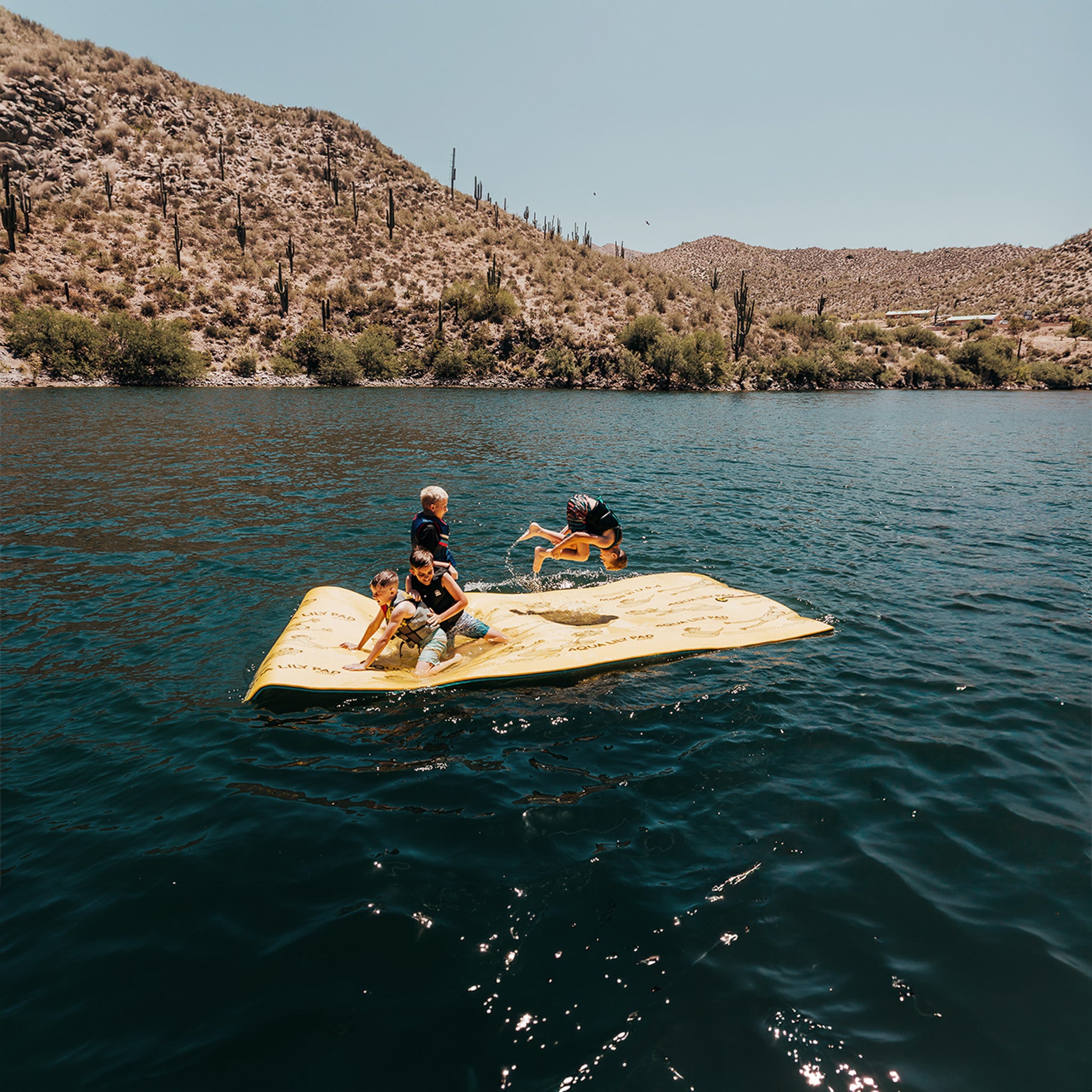 The Original Aqua Lily Pad