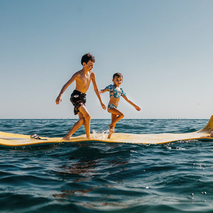 The Original Aqua Lily Pad