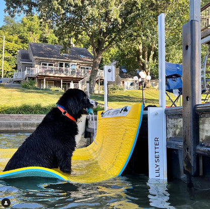 Lily Setter - Dock Setter