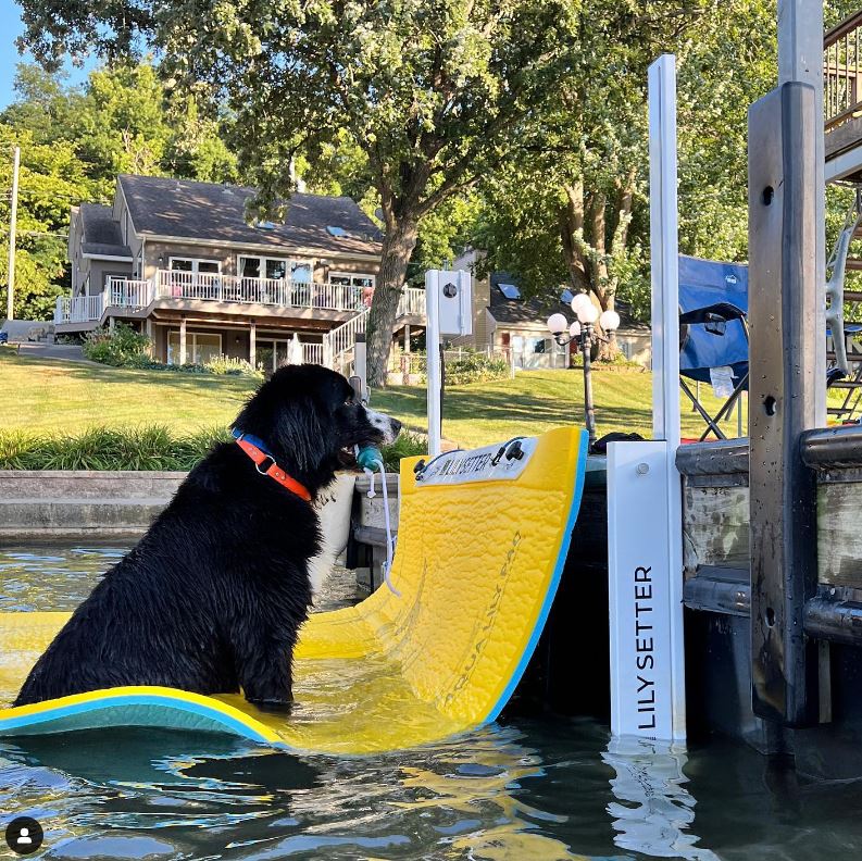 Lily Setter - Dock Setter