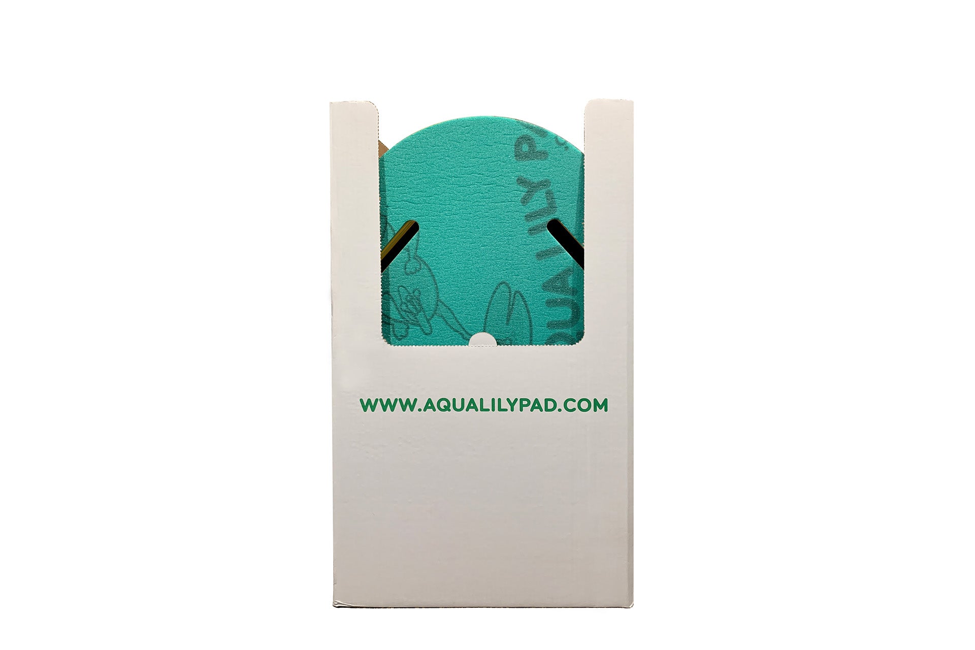Giant Aqua Lily Pad Kickboards Display Box