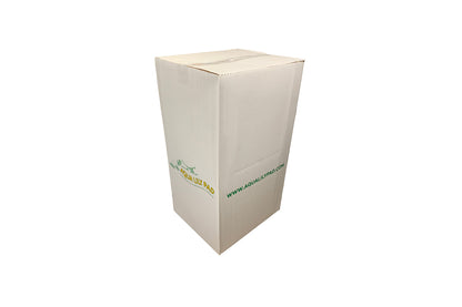 Giant Aqua Lily Pad Kickboards Display Box
